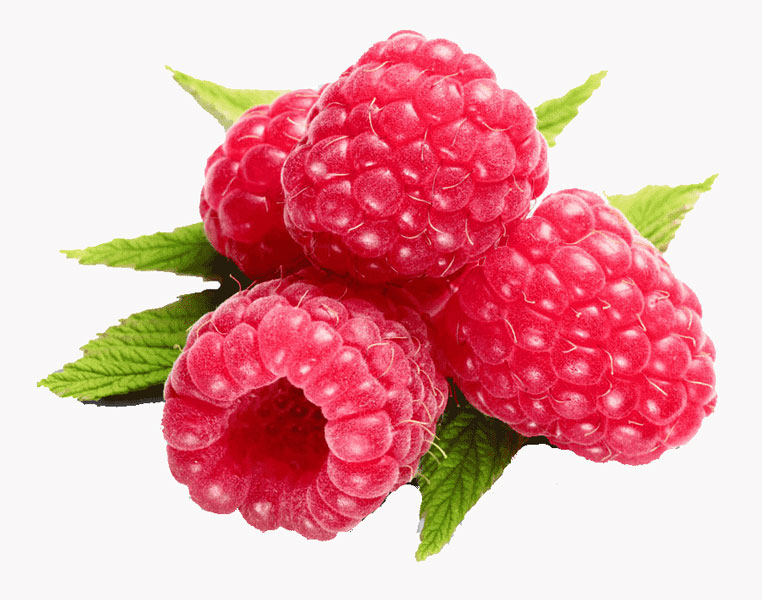 نهال رزبری قرمز